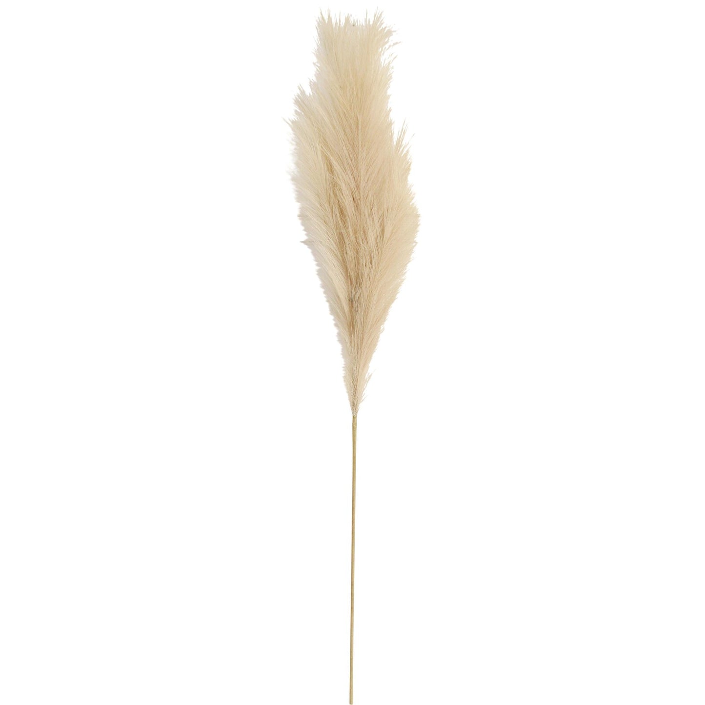 Lifelike Faux Pampas Stem