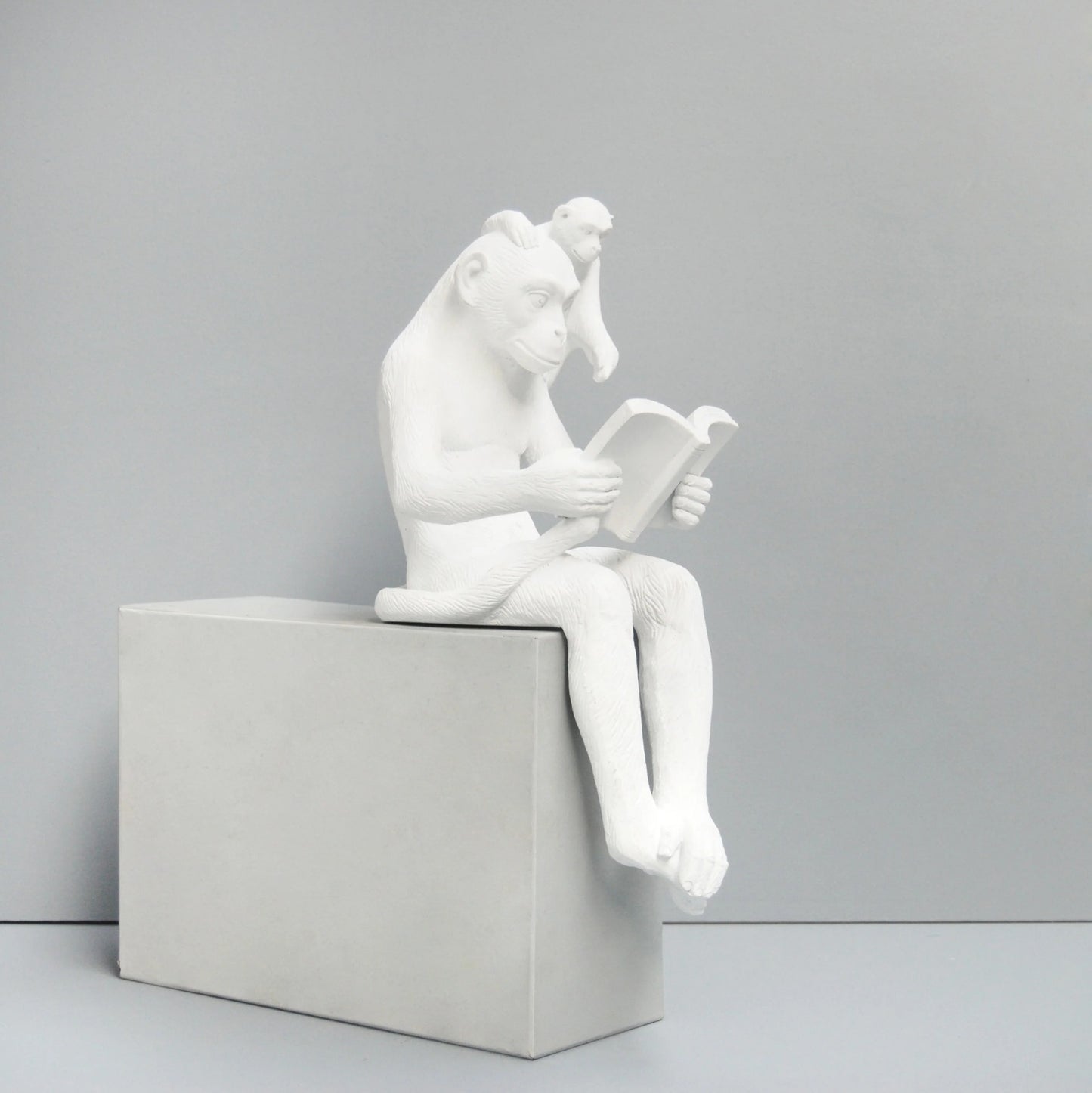 Shelf Monkey Decor