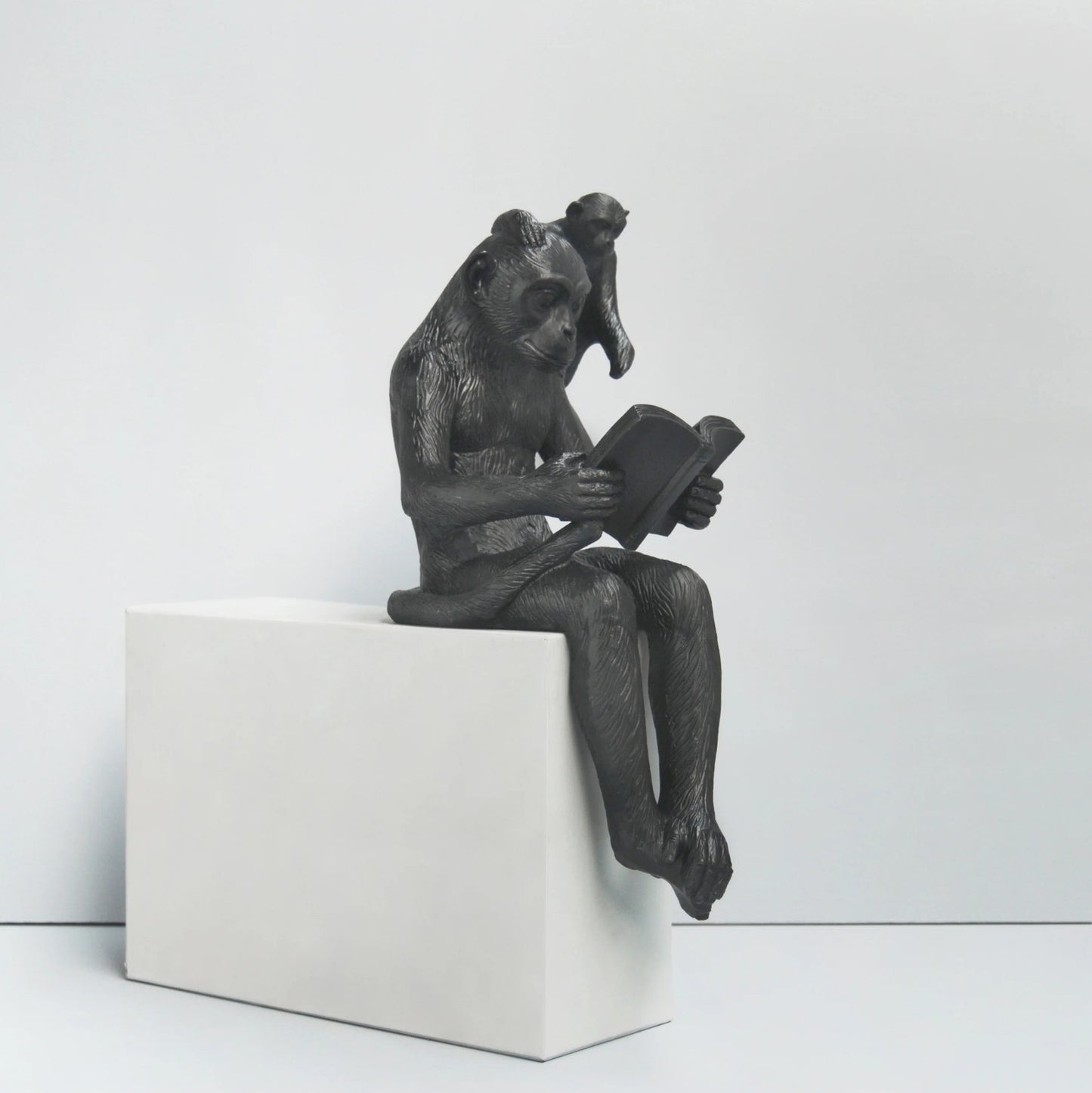 Shelf Monkey Decor