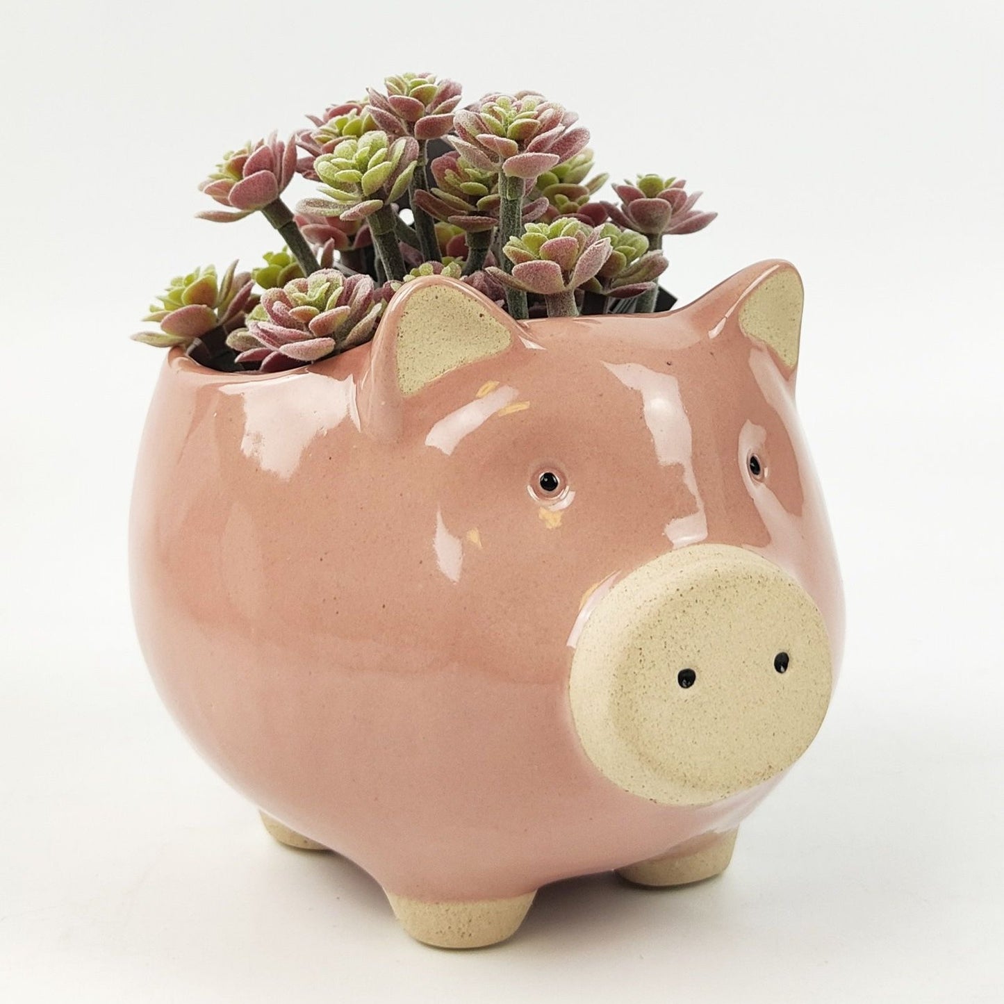 Piggy Planter