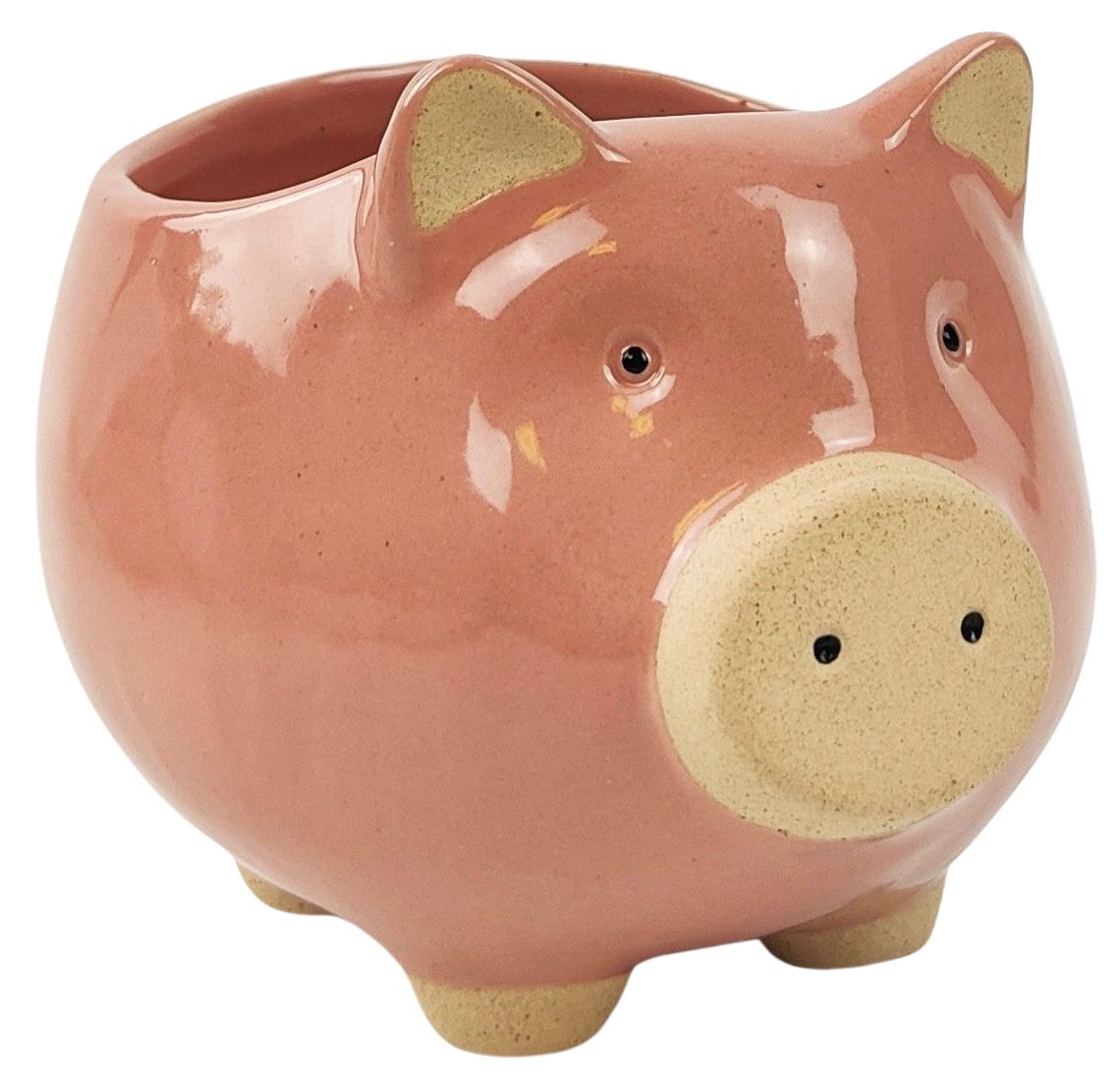 Piggy Planter