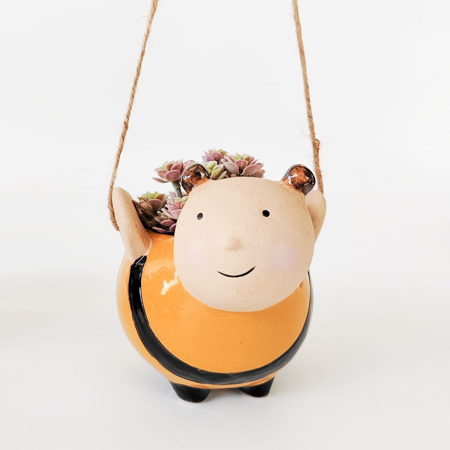 Happy Hanging Bee Planter