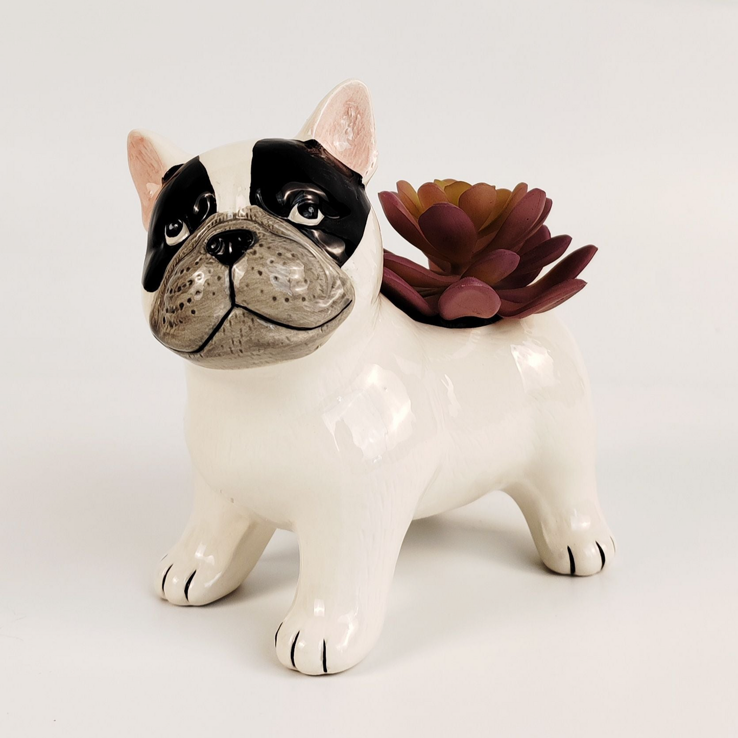 Cute Little French Bulldog Planter