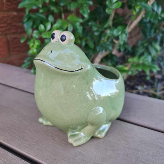 Large Frog Planter