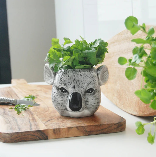 Koala Planter/Dish