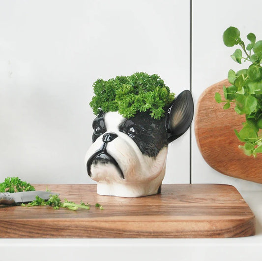 Frenchie Planter/Dish