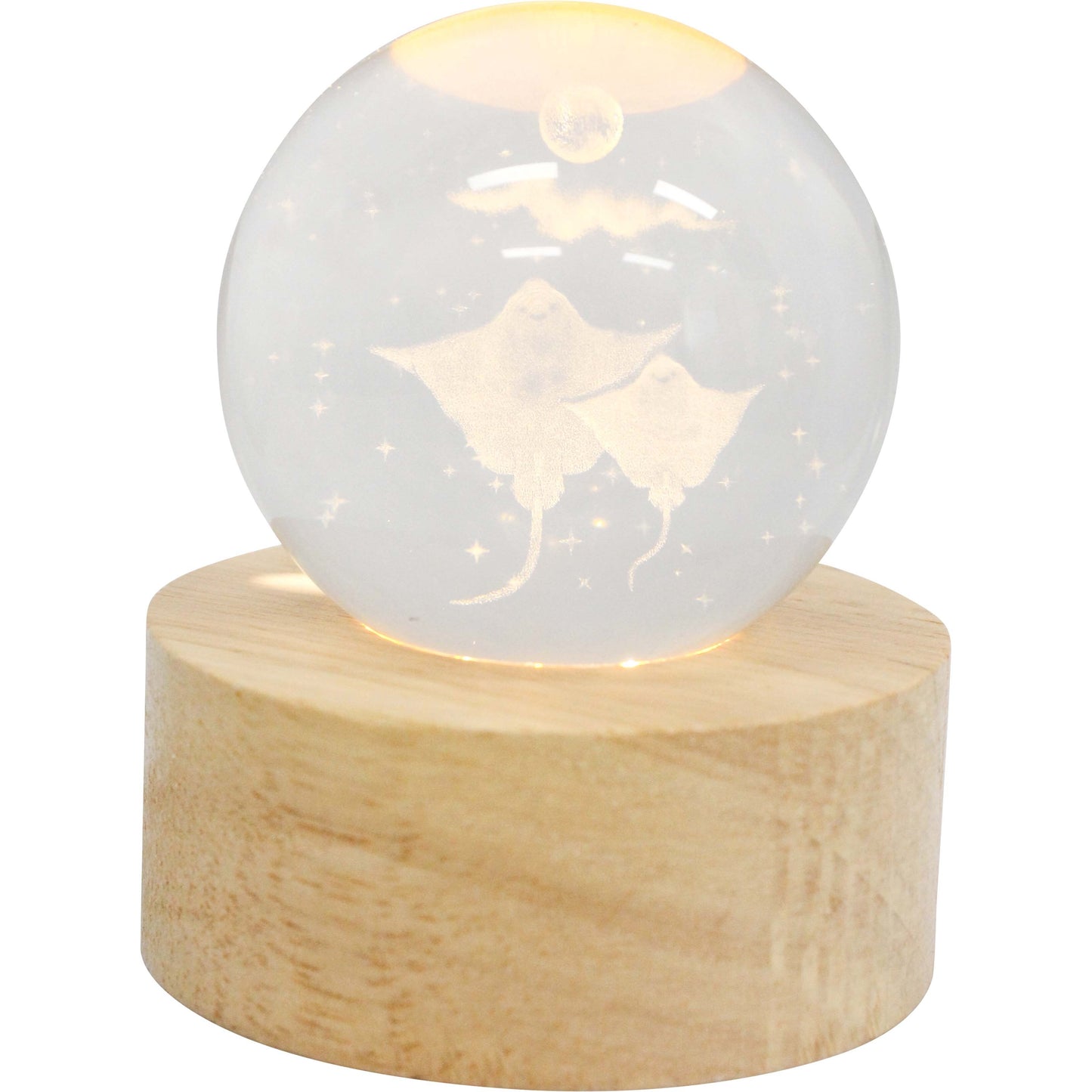 LED Glass Ball Decor