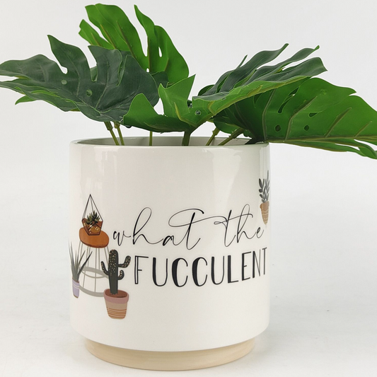 What The Fucculent Pun Planter